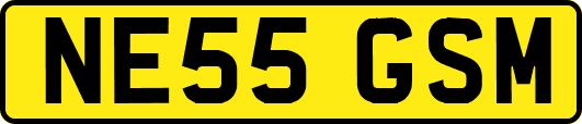 NE55GSM