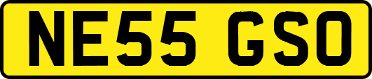 NE55GSO