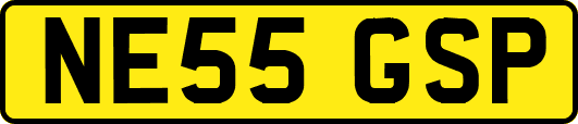 NE55GSP