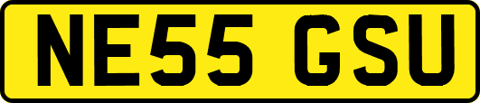 NE55GSU
