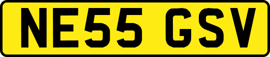 NE55GSV