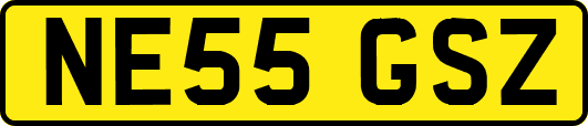 NE55GSZ