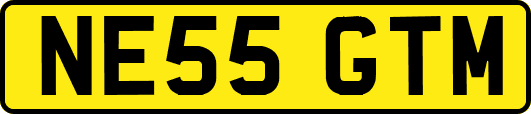 NE55GTM
