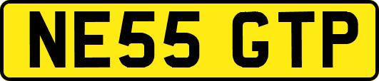NE55GTP