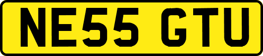 NE55GTU