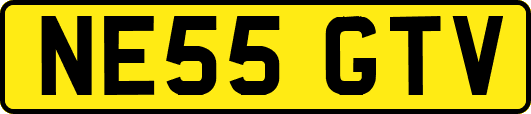 NE55GTV