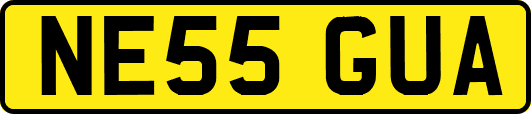 NE55GUA