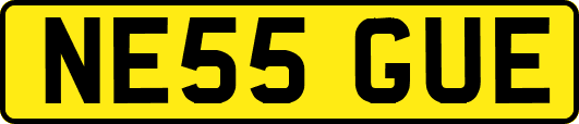 NE55GUE