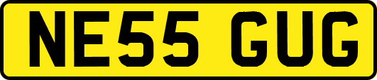 NE55GUG