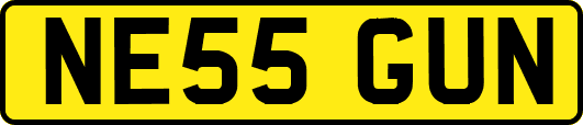 NE55GUN