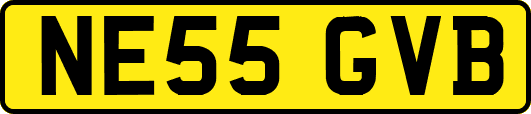 NE55GVB