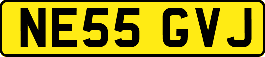 NE55GVJ