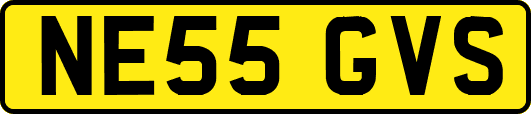 NE55GVS