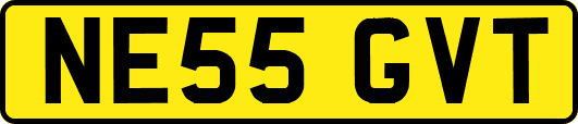 NE55GVT
