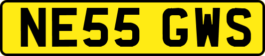 NE55GWS