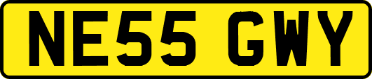 NE55GWY