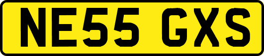 NE55GXS