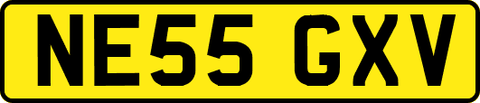 NE55GXV