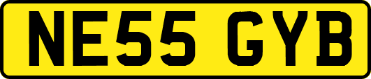 NE55GYB