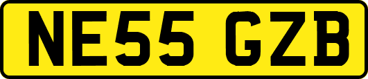 NE55GZB