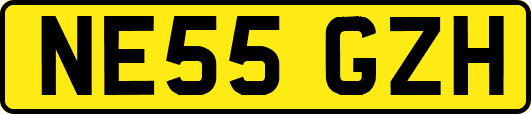 NE55GZH