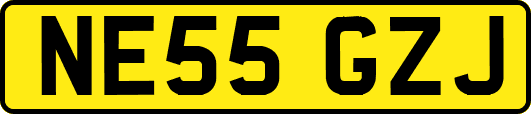 NE55GZJ