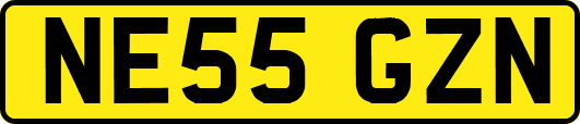 NE55GZN