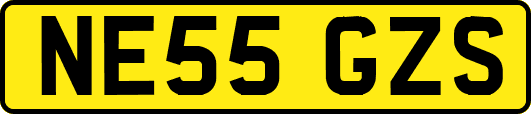 NE55GZS