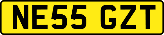 NE55GZT