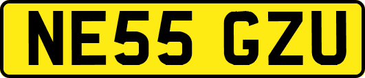 NE55GZU