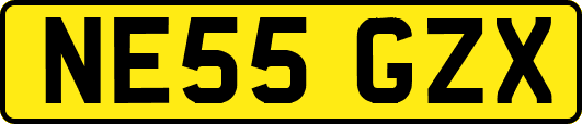 NE55GZX