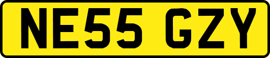 NE55GZY