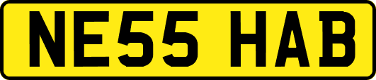 NE55HAB