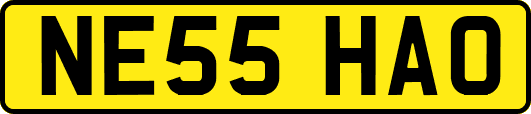 NE55HAO