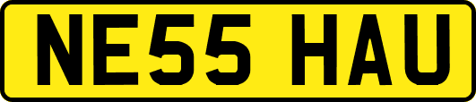 NE55HAU