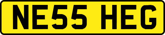 NE55HEG