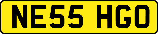 NE55HGO