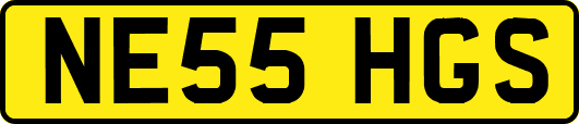 NE55HGS