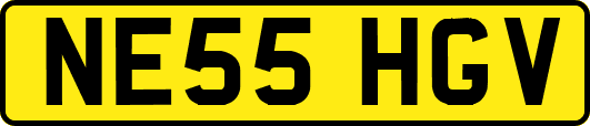 NE55HGV