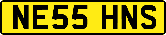 NE55HNS
