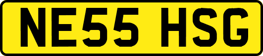 NE55HSG