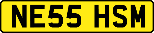 NE55HSM