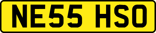 NE55HSO