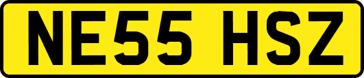 NE55HSZ
