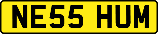 NE55HUM