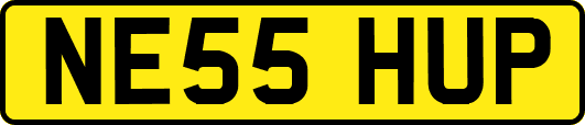 NE55HUP