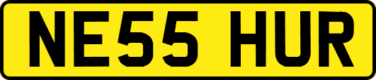 NE55HUR