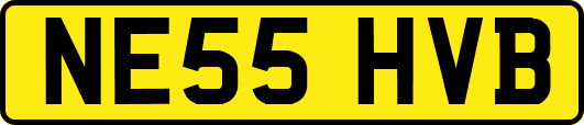 NE55HVB