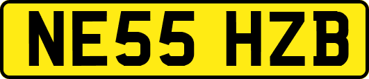 NE55HZB