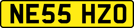 NE55HZO